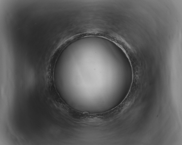 X0000102371256200808011506