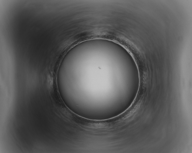 X0000102371257200808011506