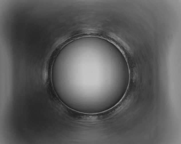 X0000102371261200808011506