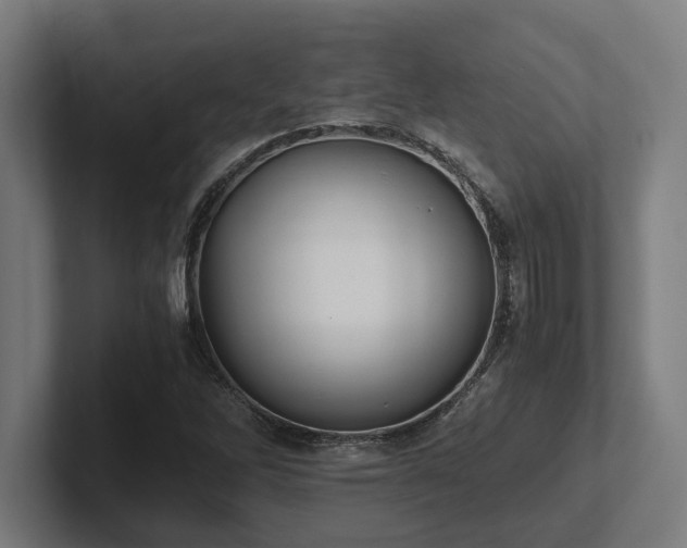 X0000102371262200808011506