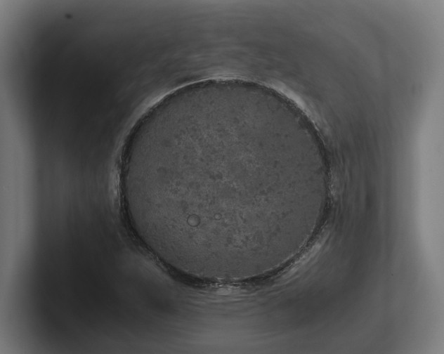 X0000102371263200808011506