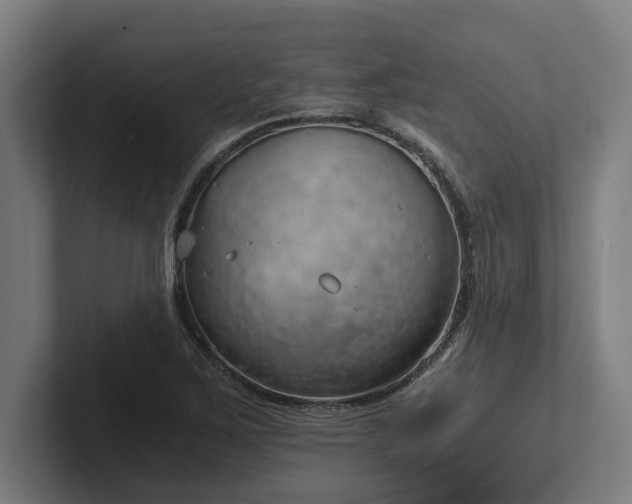X0000102371267200808011506