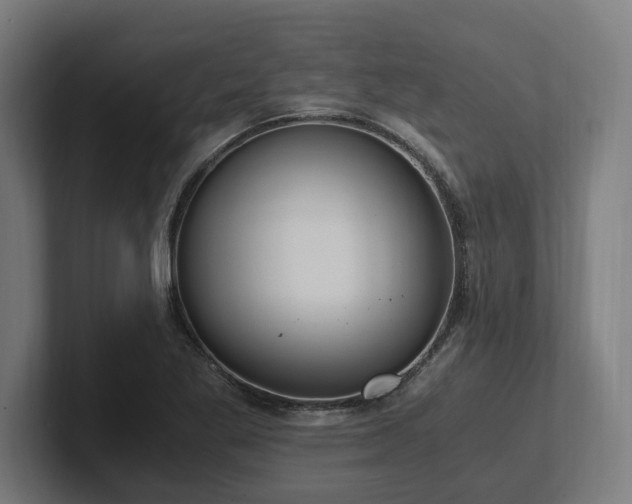 X0000102371269200808011506