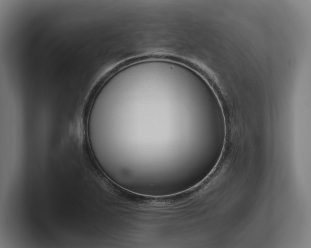 X0000102371271200808011506