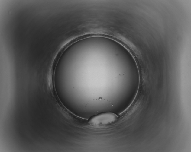 X0000102371272200808011506