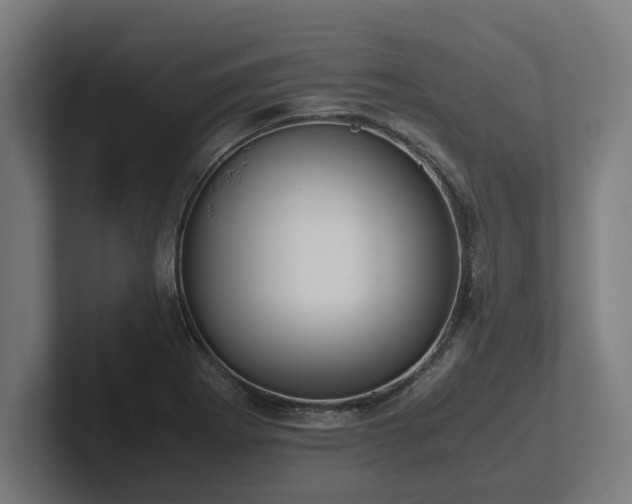 X0000102371273200808011506
