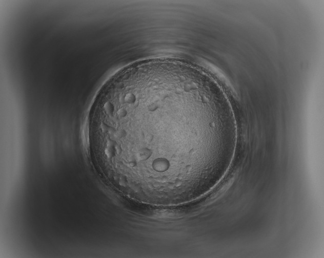 X0000102371275200808011506