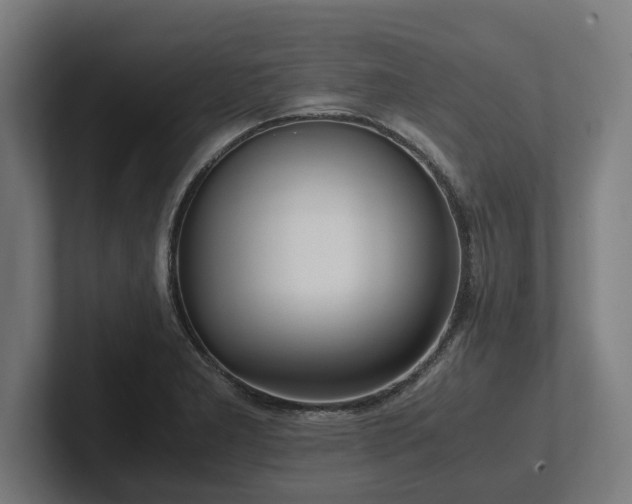 X0000102371277200808011506