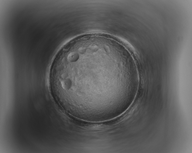 X0000102371279200808011506