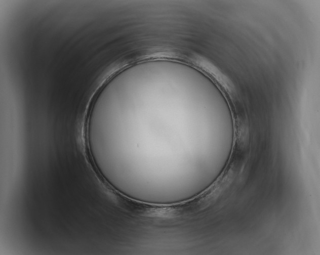 X0000102371282200808011506