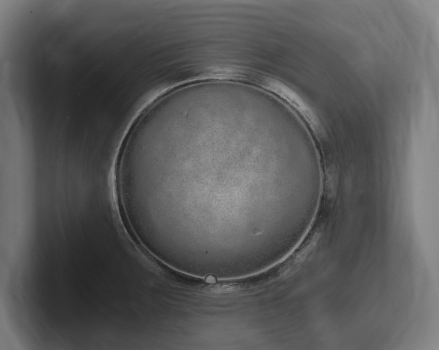 X0000102371283200808011506