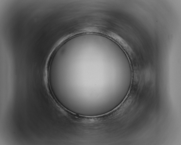 X0000102371286200808011506