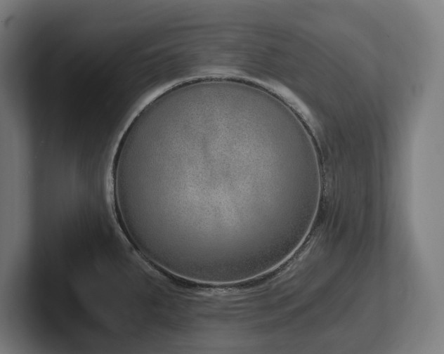 X0000102371287200808011506