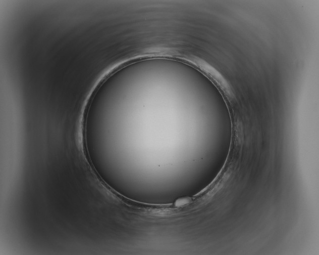 X0000102371288200808011506
