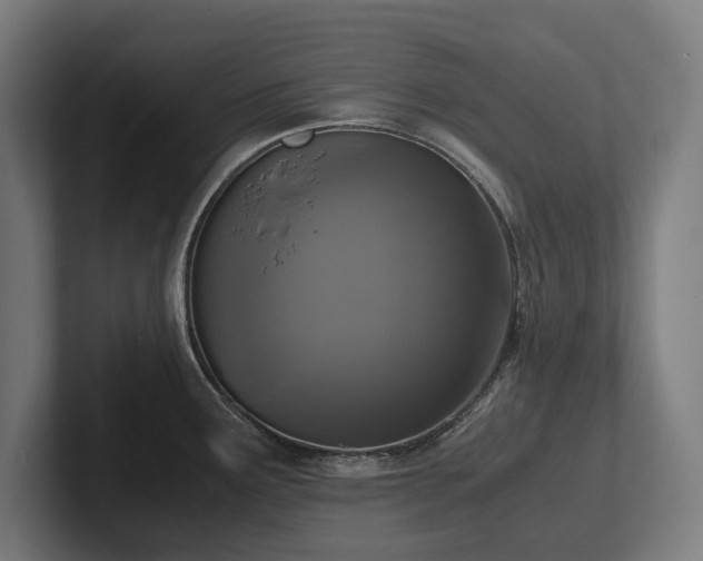 X0000102371291200808011505
