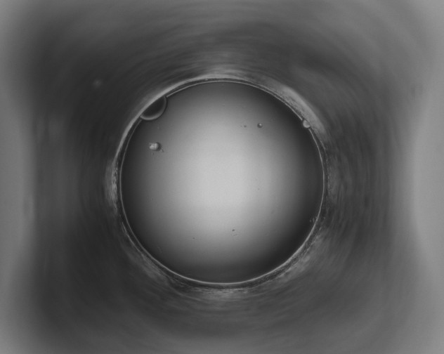 X0000102371292200808011505