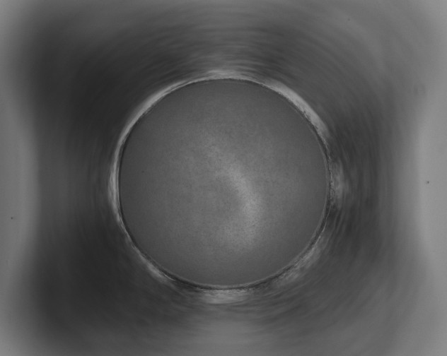 X0000102371294200808011505