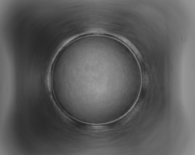 X0000102371295200808011505
