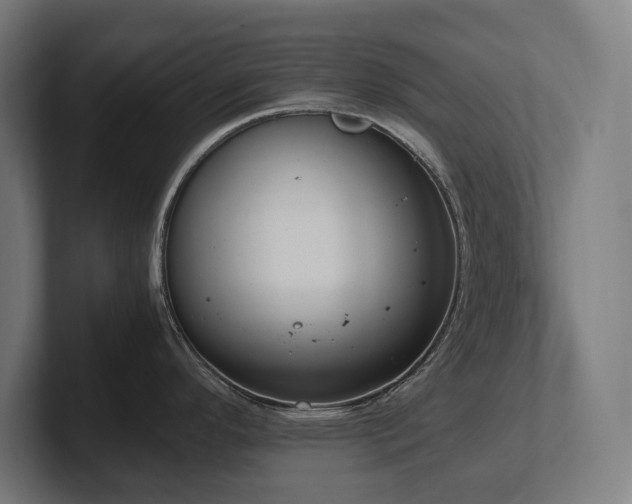 X0000102371296200808011505