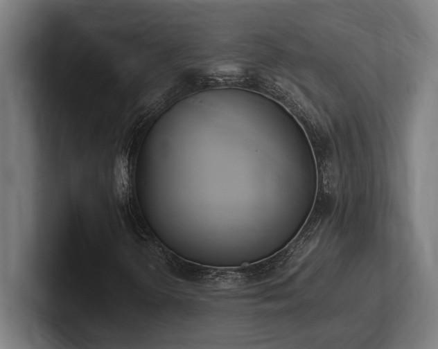 X0000102371298200808011505