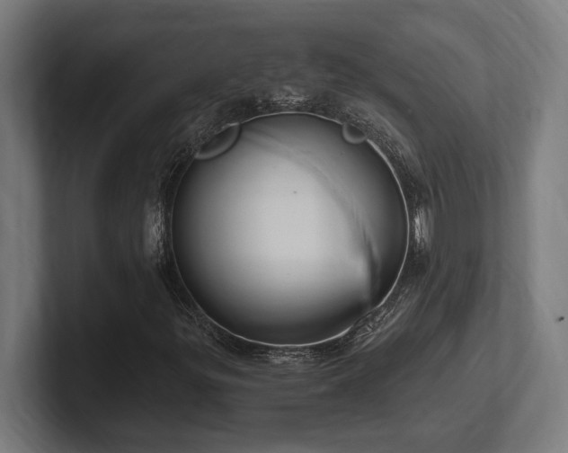X0000102371299200808011505