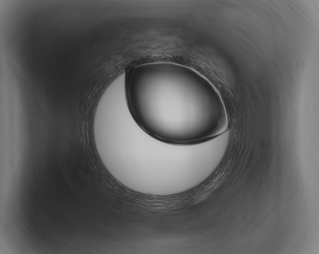 X0000102371300200808011505