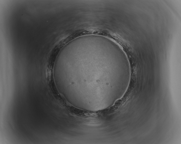 X0000102371302200808011505