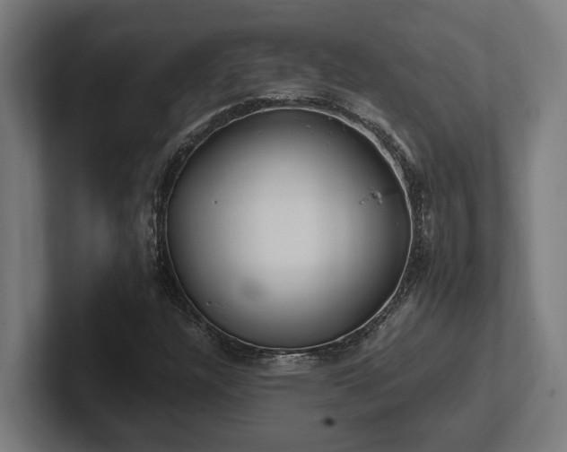 X0000102371304200808011505