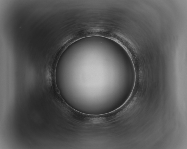 X0000102371305200808011505