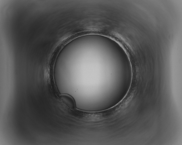 X0000102371307200808011505