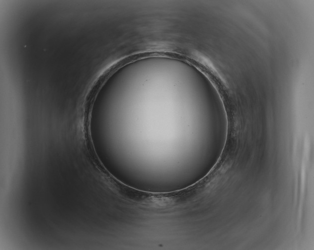 X0000102371312200808011505