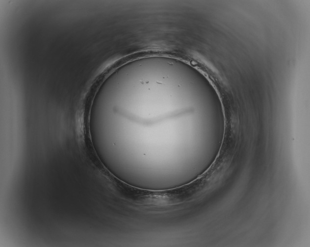 X0000102371315200808011505