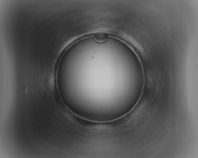 X0000102371316200808011505
