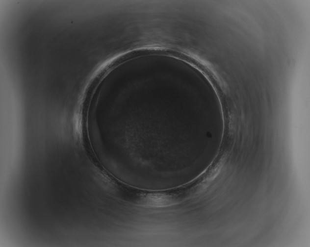 X0000102371319200808011505