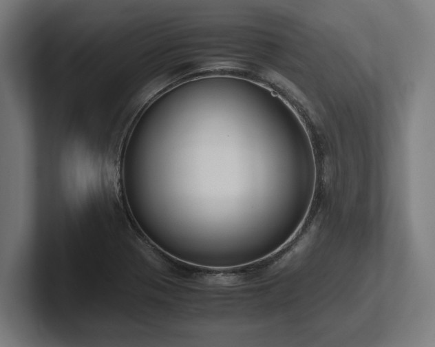 X0000102371321200808011505