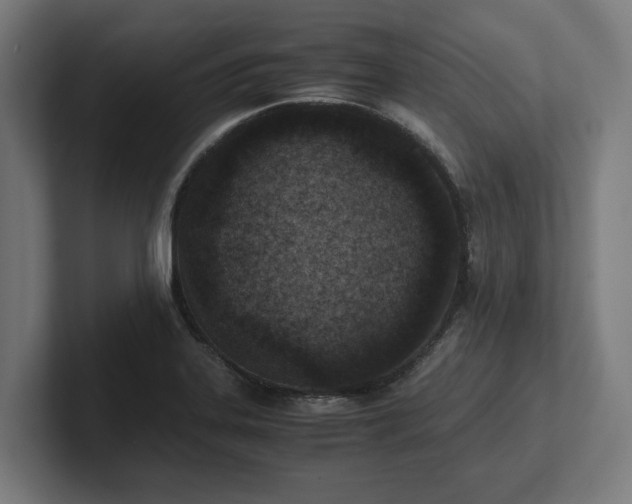 X0000102371323200808011505
