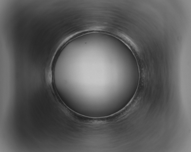 X0000102371324200808011505