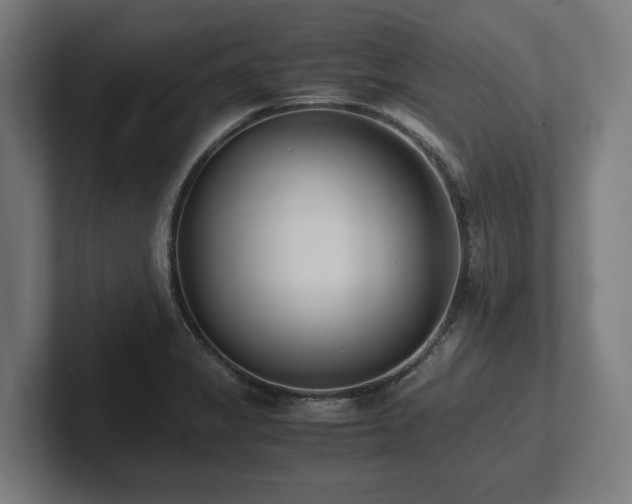 X0000102371325200808011505
