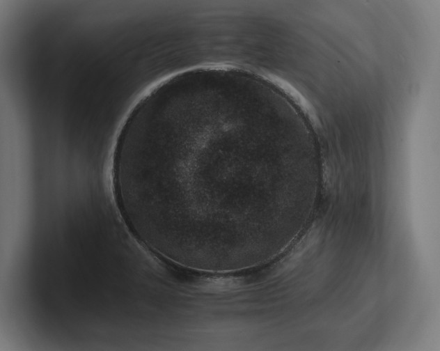 X0000102371327200808011505