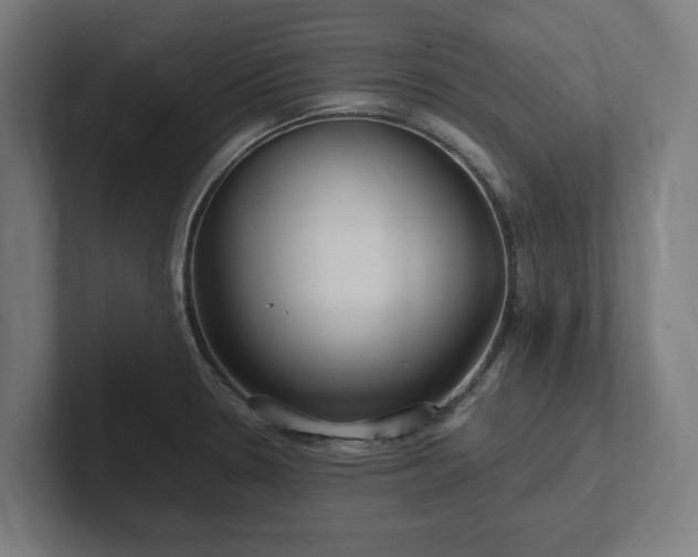 X0000102371330200808011505