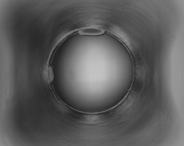 X0000102371332200808011505