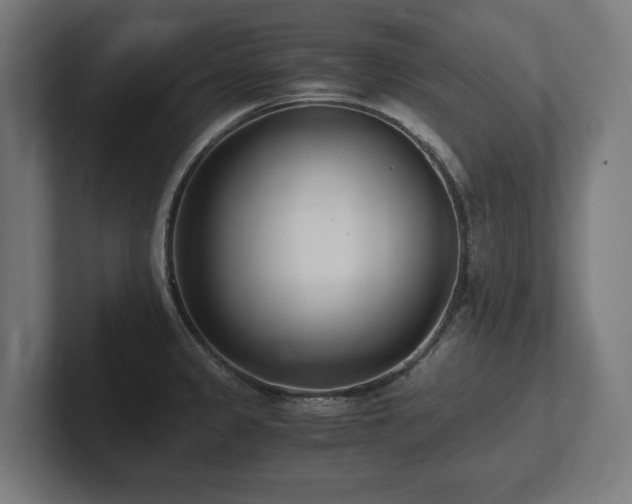 X0000102371333200808011505