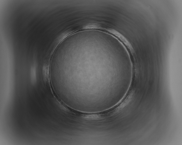 X0000102371337200808011505