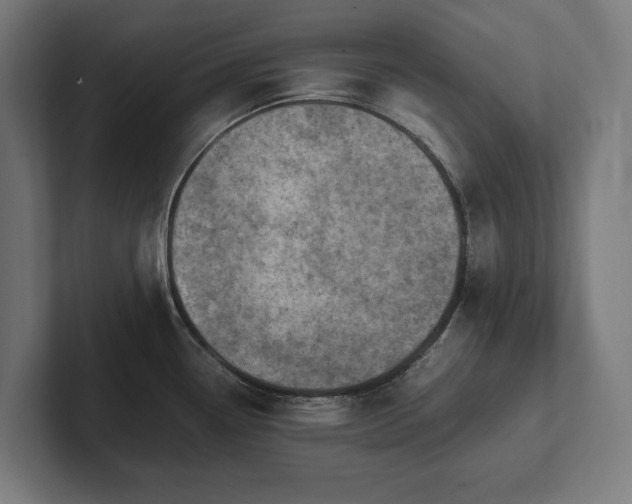X0000102371338200808011505