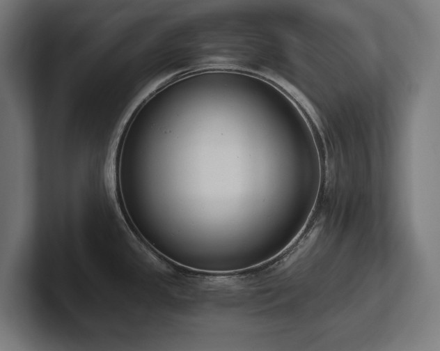 X0000102371341200808011505