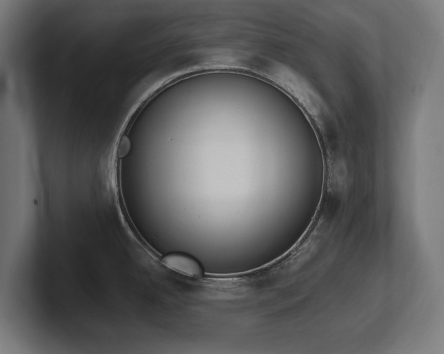 X0000102371342200808011505