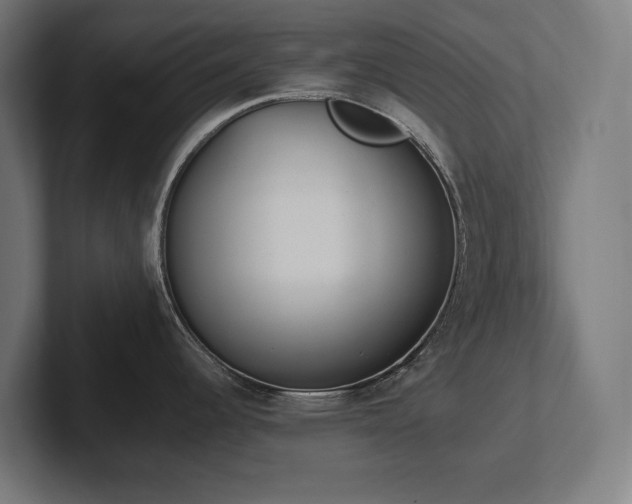 X0000102371344200808011505