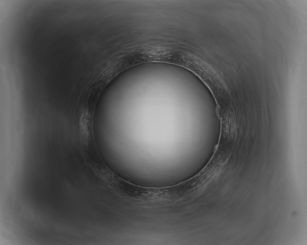 X0000102371346200808011505