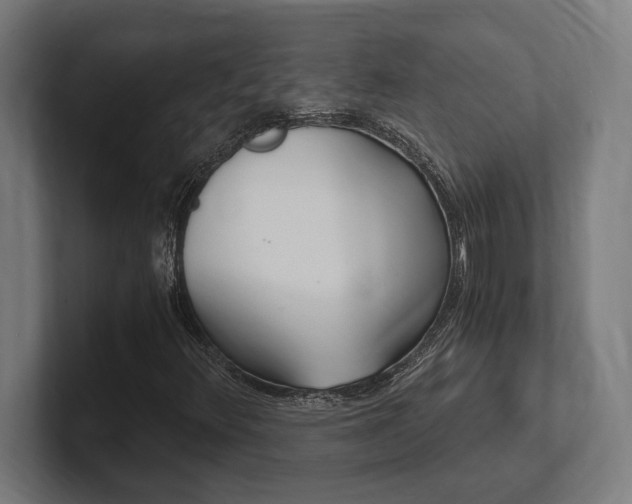 X0000102371348200808011505