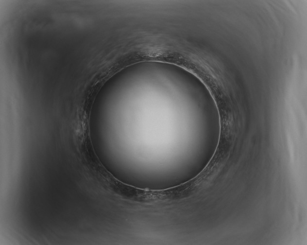 X0000102371349200808011505
